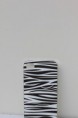 Capa Zebra-Iphone 5